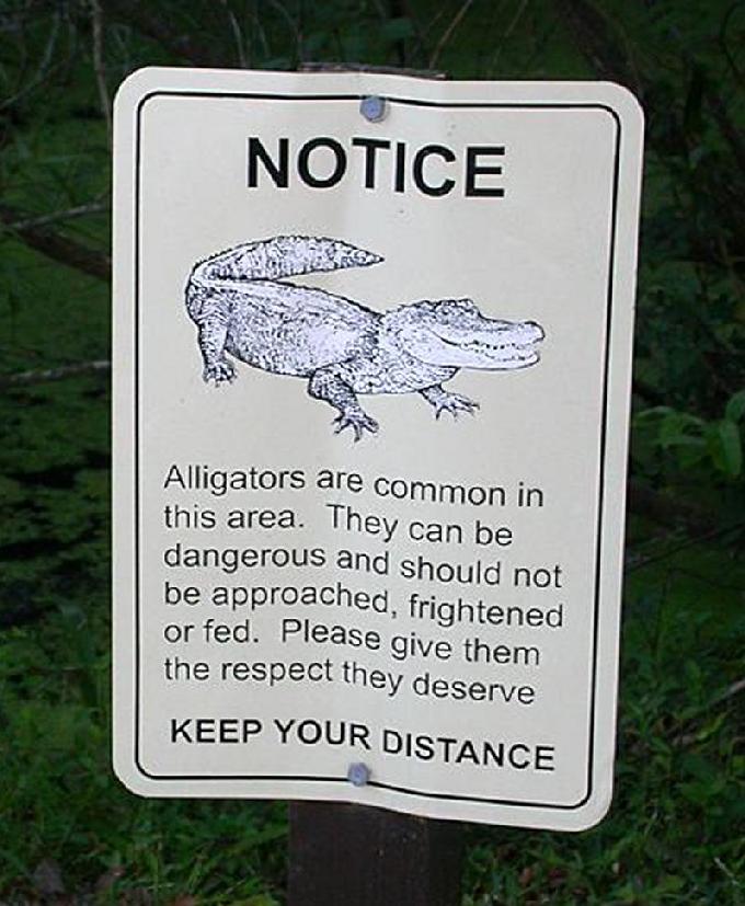 Perigo Aligatores