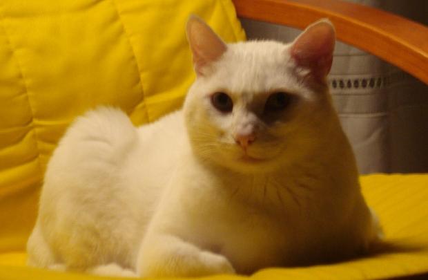 Felipe