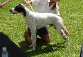 Pointer