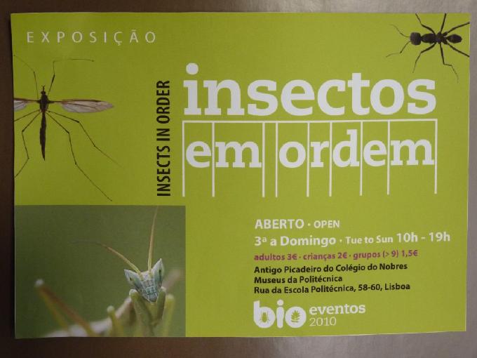 Exposição «Insectos em Ordem»