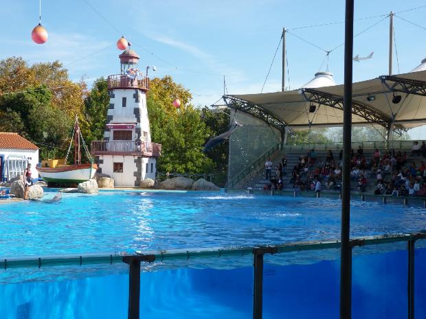 Golfinhos - Zoológico de Lisboa