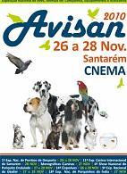 AVISAN 2010 no CNEMA de 26 a 28 de Novembro
