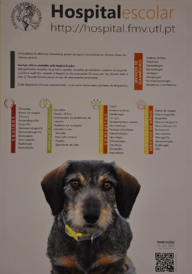 Hospital Escolar - Faculdade de Medicina Veterinária