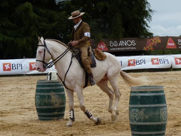 Prova de Equitação de Trabalho - Ovibeja 2012