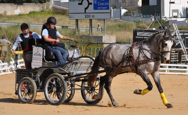 Atrelagem adaptada - Porto Salvo 2012