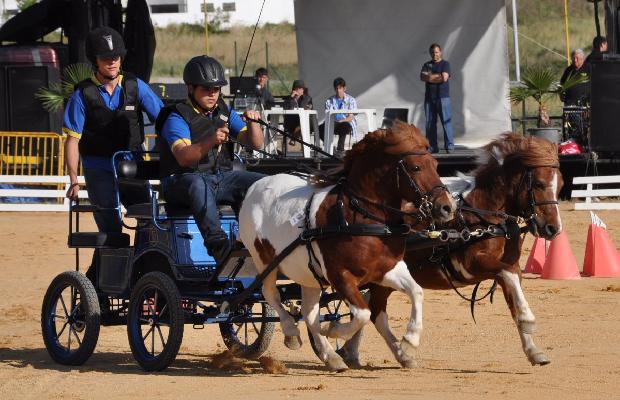 Atrelagem 2 póneis - Porto Salvo 2012