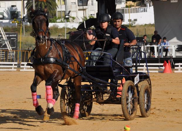 Atrelagem 1 cavalo - Porto Salvo 2012