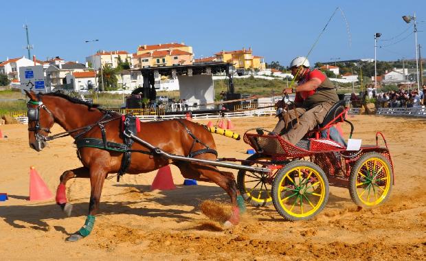 Atrelagem 1 cavalo - Porto Salvo 2012