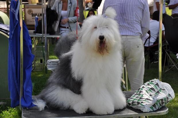 Preparação para exposição
