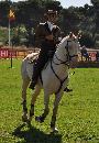 Lusitano