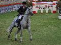 Luciana Diniz & Winningmood