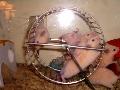 Ninhada de Hamsters