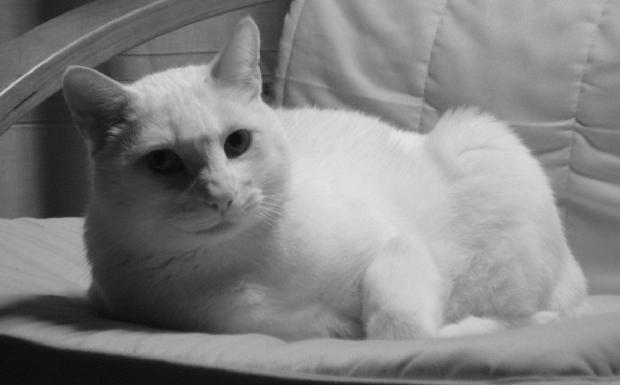 Felipe