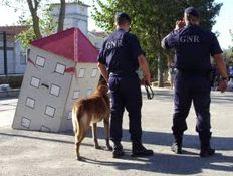 EB1 JI Abrunheira - Demonstração GNR