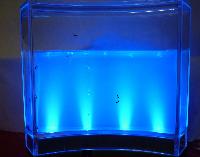 Milhares de formigueiros por ano