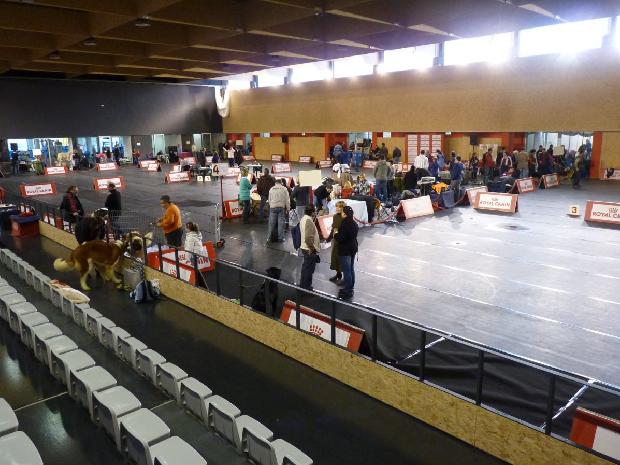 19.ª Exposição Canina Nacional de Vila Franca de Xira