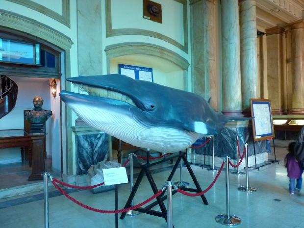 Aquário Vasco da Gama