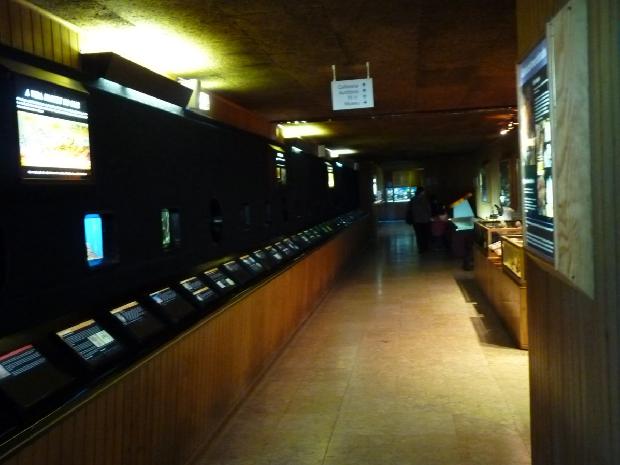 Aquário Vasco da Gama