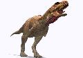 Aucasaurus garridoi