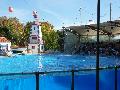 Golfinhos - Zoológico de Lisboa