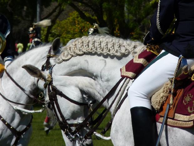 Charanga a Cavalo da GNR