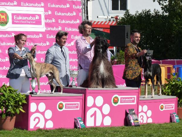 Melhor Exemplar do 10º Grupo - Internacional Sintra 2011