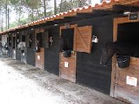 Quinta do Tabual - Centro Hípico