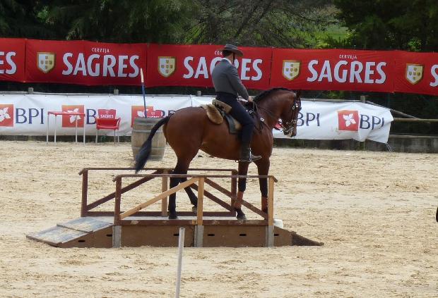 Prova de Equitação de Trabalho - Ovibeja 2012