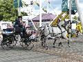Charrete GNR - Ovibeja 2012