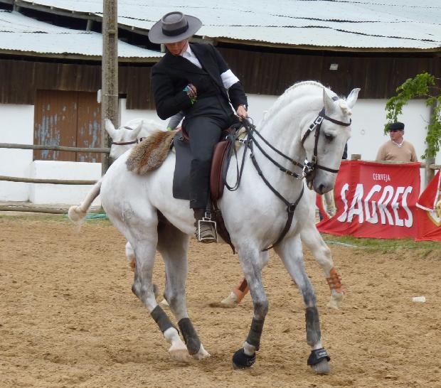 Prova de Equitação de Trabalho - Ovibeja 2012