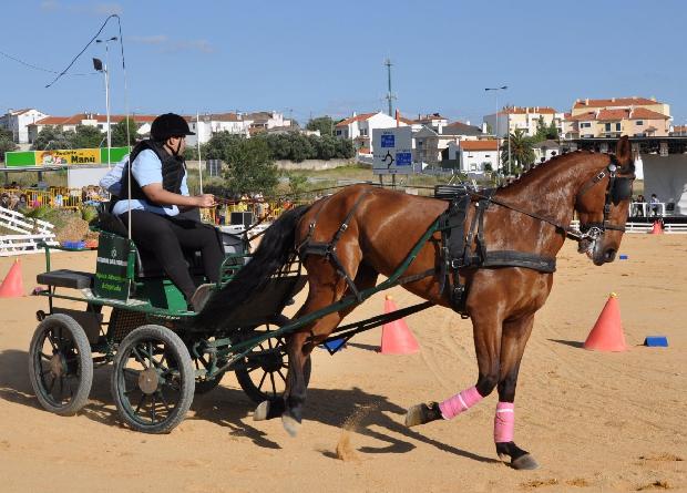 Atrelagem adaptada - Porto Salvo 2012