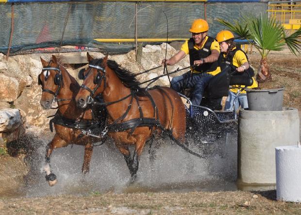 Atrelagem 2 cavalos - Porto Salvo 2012