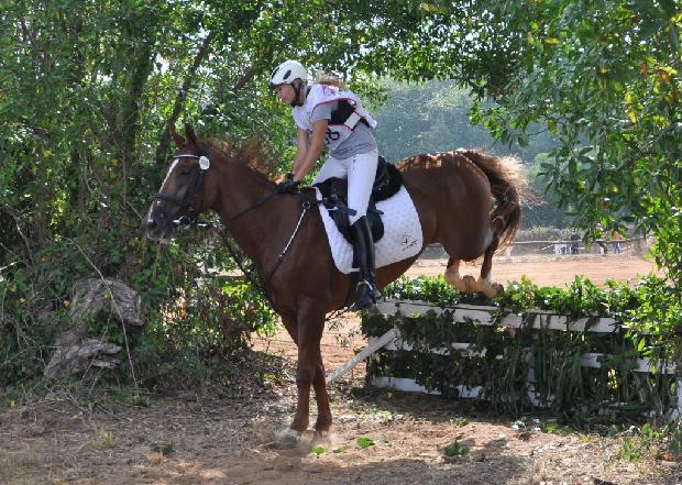 TREC Mafra 2012