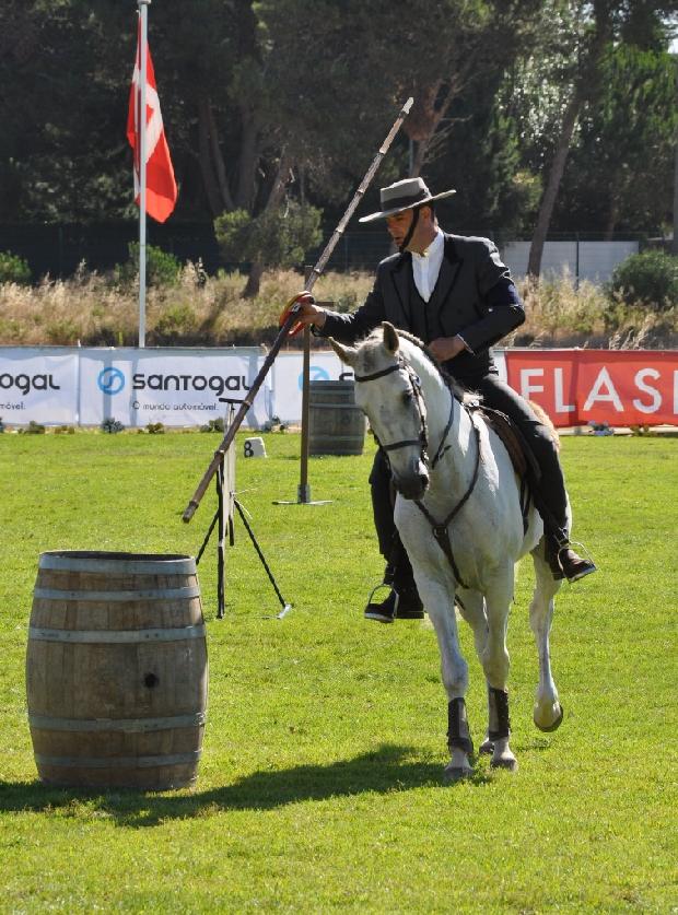 Lusitano