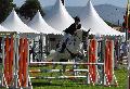 Lusitano - Salto obstáculos