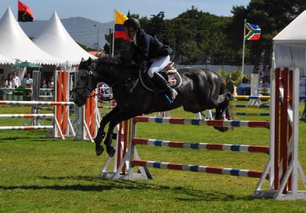 Lusitano - Salto obstáculos