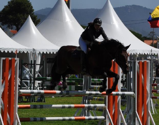 Lusitano - Salto obstáculos